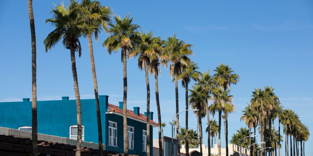 Palm framed afternoon view of historic downtown Chandler, Arizona, USA.